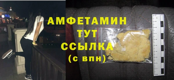 твердый Козельск