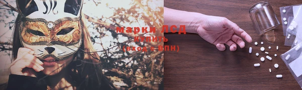 ПСИЛОЦИБИНОВЫЕ ГРИБЫ Козловка