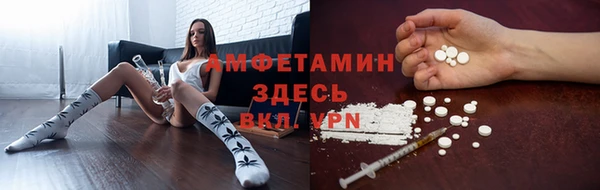 твердый Козельск