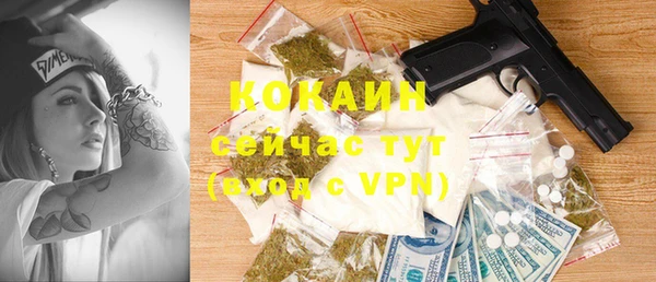 твердый Козельск