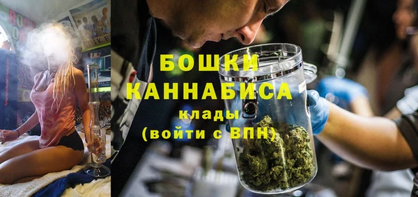 ПСИЛОЦИБИНОВЫЕ ГРИБЫ Козловка