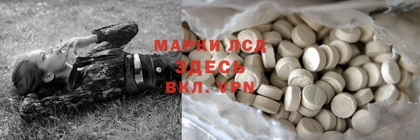 ПСИЛОЦИБИНОВЫЕ ГРИБЫ Козловка