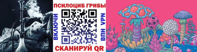 Галлюциногенные грибы Magic Shrooms  Купить  Вилючинск 